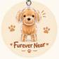 Furever Near